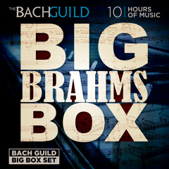 Symphony No. 4 in E minor, Op. 98: ii. Andante moderato