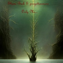 Shane Beck & progettosonoro - Only Me...