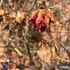 Microwave cornbread ~ChevyDuzit (prod ky)