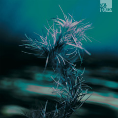 ‘Solidarity’ 2023 Melodic Techno (curated by Techno Releases) 1