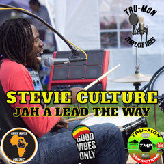 STEVIE CULTURE - Jah A Lead The Way / TruMon Dubplate