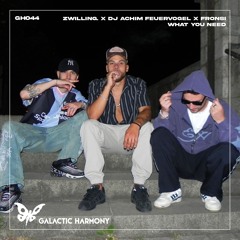 zwilling. , DJ Achim Feuervogel, Fronsi - What You Need (Original Mix)