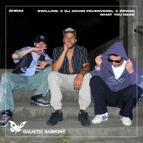 zwilling. , DJ Achim Feuervogel, Fronsi - What You Need (Original Mix)