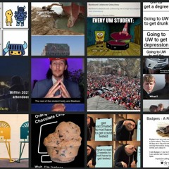 New Domains: Memes and Milk-Chugging Teens Shape Culture at UW Madison