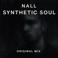 Synthetic Soul (Original Mix)