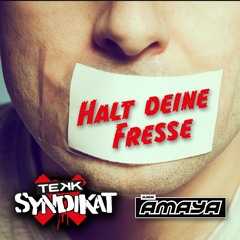 Tekk Syndikat feat. AMAYA - Halt die Fresse - Free Download