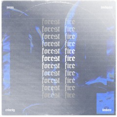 WENS - forest fire (w/ lvndquist & dj cholo)