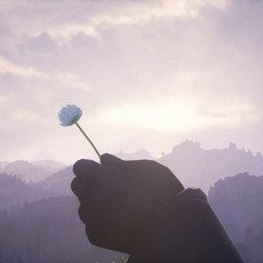 i hate you i love you