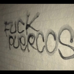 ESCO X CDUB - WINDOWS TINTED