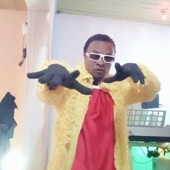 Musican Animal