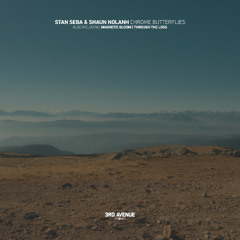 Stan Seba, Shaun Nolanh - Through the Loss [3rd Avenue]
