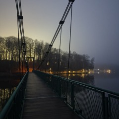 Ginseng Strip 2002 x LVL