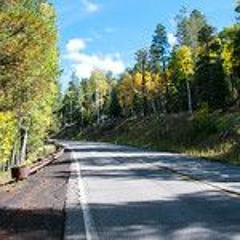 The Road Home:  Stephen Paulus