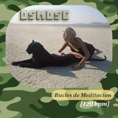Bucles de Meditacion [120bpm]  - Chill House