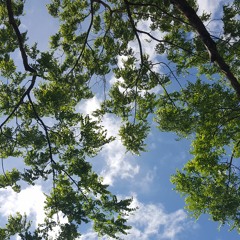 The Inherent Joy Of Sadness