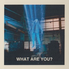 PREMIERE: Randolph & Mortimer - What Are You? (Red Deviil Remix) [ SURFACE REALITY ]