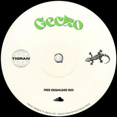Gecko (Tigran Dub) [FREE DL]