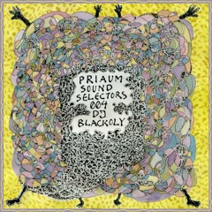 PRIAUM SELECTORS 004 -  DJ BLACKOLY - SV MIX