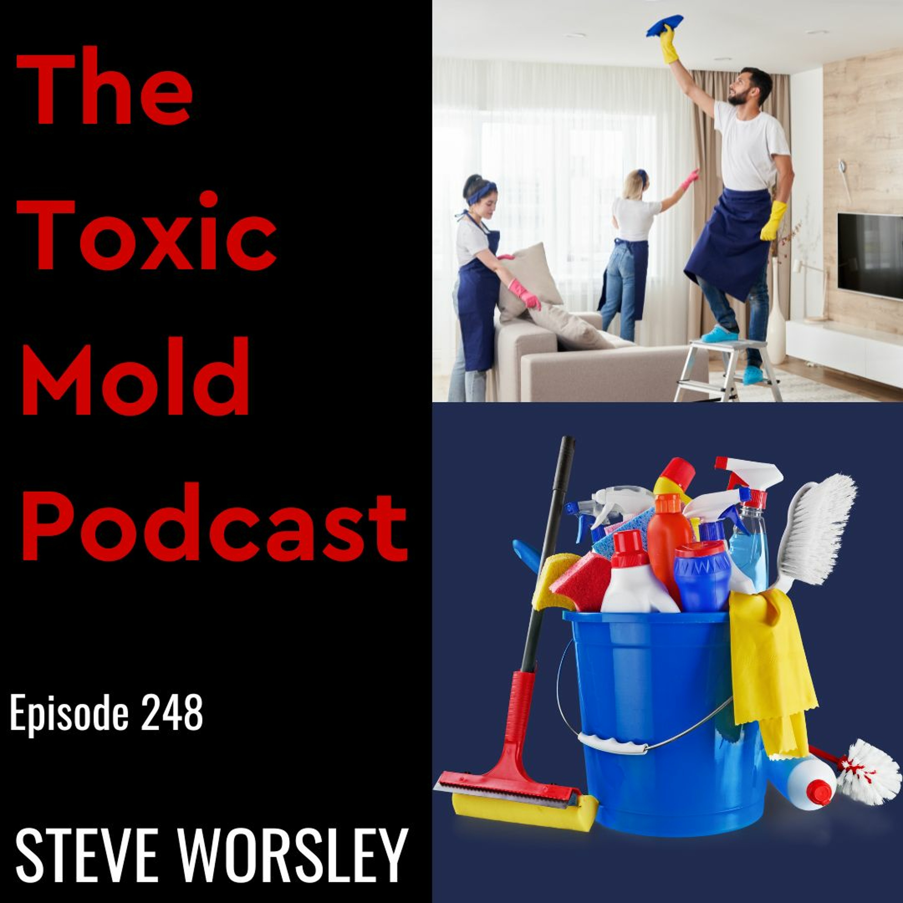 The Toxic Mold Podcast