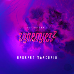 Herbert Marcusio @ Synergies²