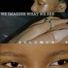We imagine what we see