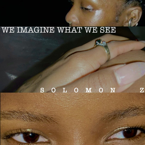 We imagine what we see