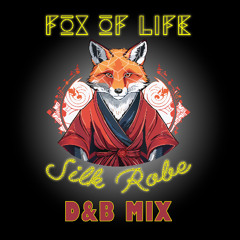Silk Robe D&B remix