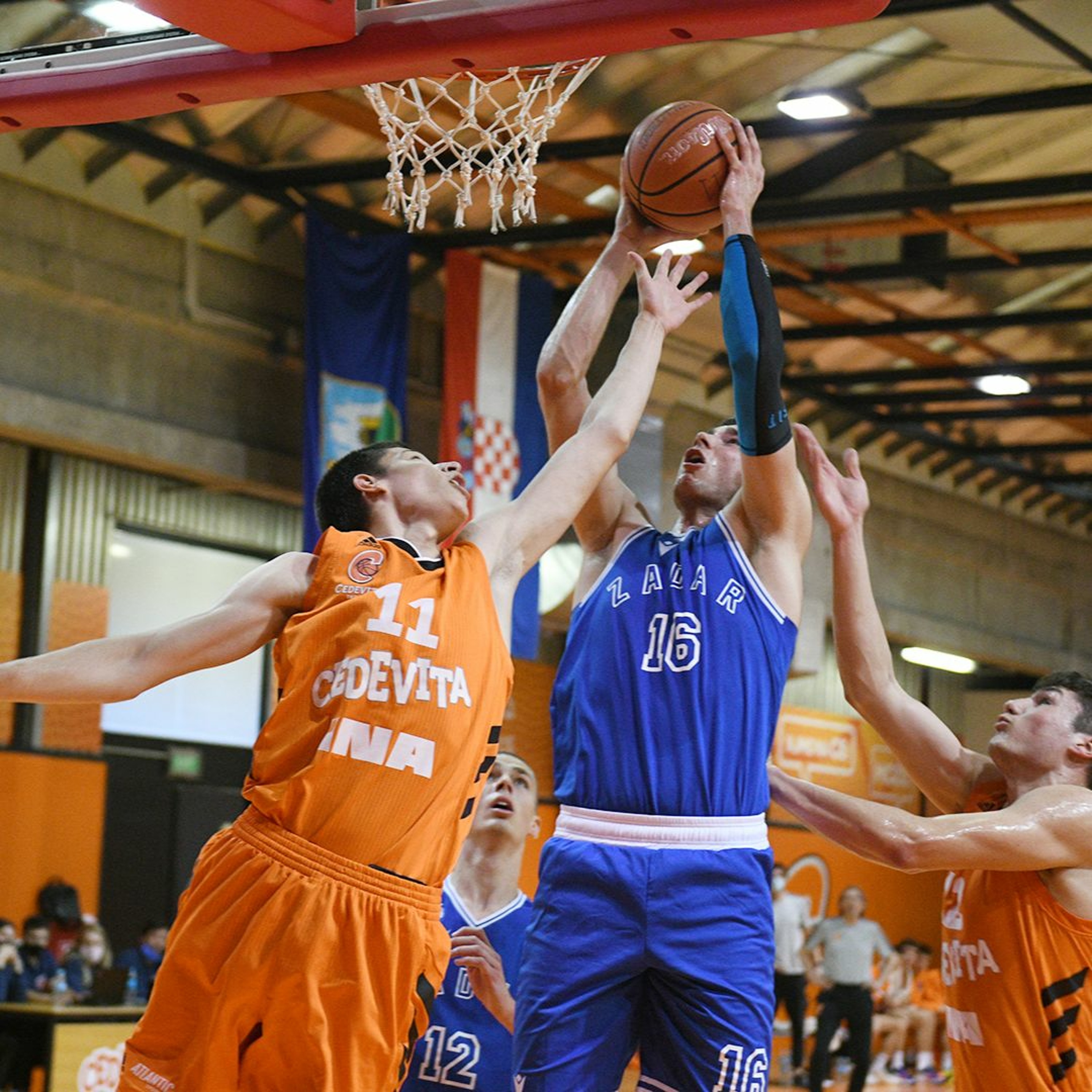 kkcedevita