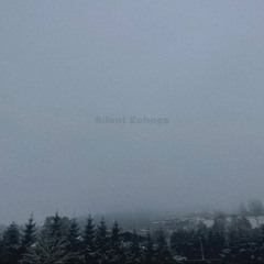 Gray sky above us