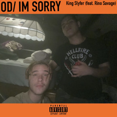 OD/ Im Sorry feat. Valu3 ( prod. LuuOnTheTrack)