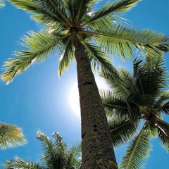 خليك معايا - عمرو دياب