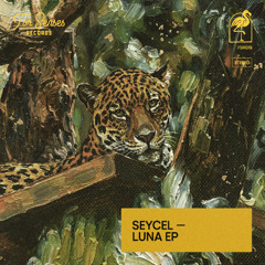 LTR Premiere: Seycel - Luna [For Senses Records]