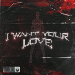 I WANT YOUR LOVE (Raw Mix)