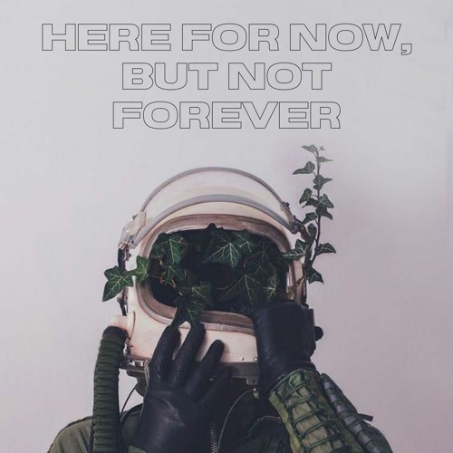 IDGAF