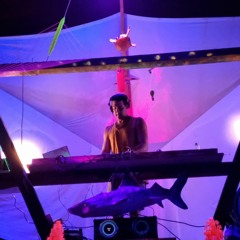 Dreamscape HitschTone LIVE Staibockmafia Rec.wav Mastered.wav