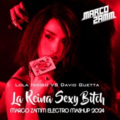Reina Sexy Bitch (Marco Zamm Electro Mashup 2024)