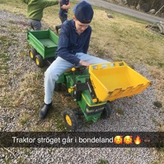 fs gibb