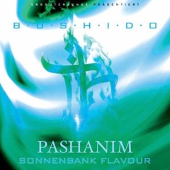 Bushido ft. Pashanim - Sonnenbank Flavour (Dj Cashesclay & Dj Mastablaze Remix)