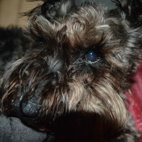 LuLu / LMAOOOOOOOOO /// Thu, Jan 30, 2020
