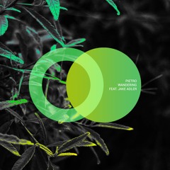 Pietro ft. Jake Adler - Wandering (Original Mix)