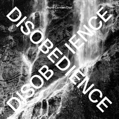 Prune Carmen Diaz - I Will Make You Disappear