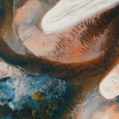 Alga