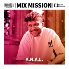 Day 8 | Mix Mission 2024 | A.N.A.L