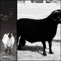 $UICIDEBOY$ - FUNKY TOWN (BLACK SHEEP)