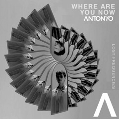 Lost Frequencies Vs Stylo & Space Motion - Where Are You Now Player