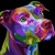 Artwork for SAMMY | POP PUNK MELODIC HARDCORE SKATEPUNK #Dog #rip #love #forever #tribute #bestfriendever