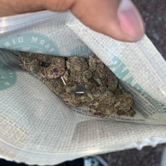 Fucked Up Feat. The Beautiful Goat