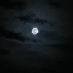 14 Feels Like January 2025