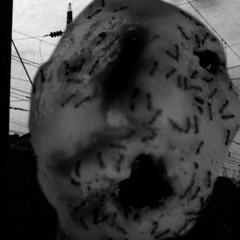 David Lynch: Up in Flames | Ant head (2018)