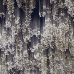 너와 나 (w/조민구)